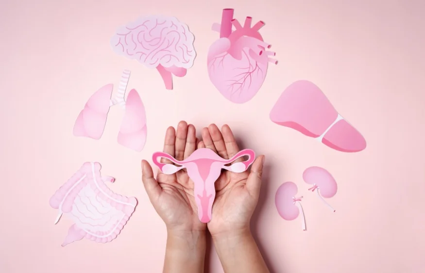 Dùng thuốc kháng sinh kéo dài gián tiếp tác động đến cân bằng hormone, ảnh hưởng tới khả năng sinh sản - Nguồn ảnh: Internet