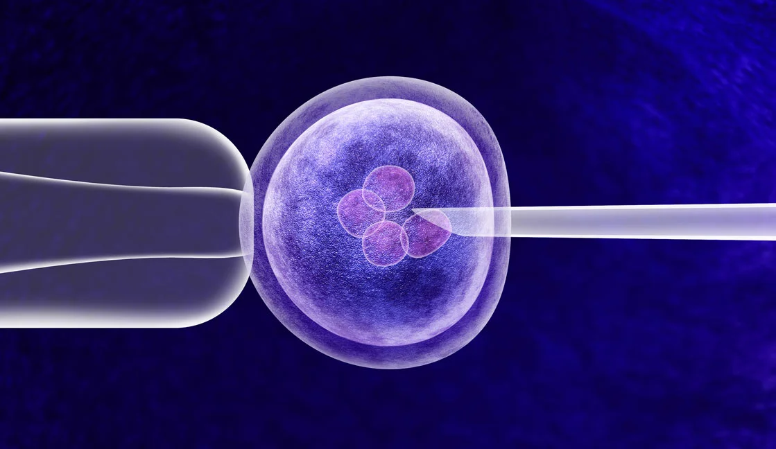 IVF chính là giải pháp hiệu quả cho đa số trường hợp hiếm muộn - Nguồn ảnh: Internet