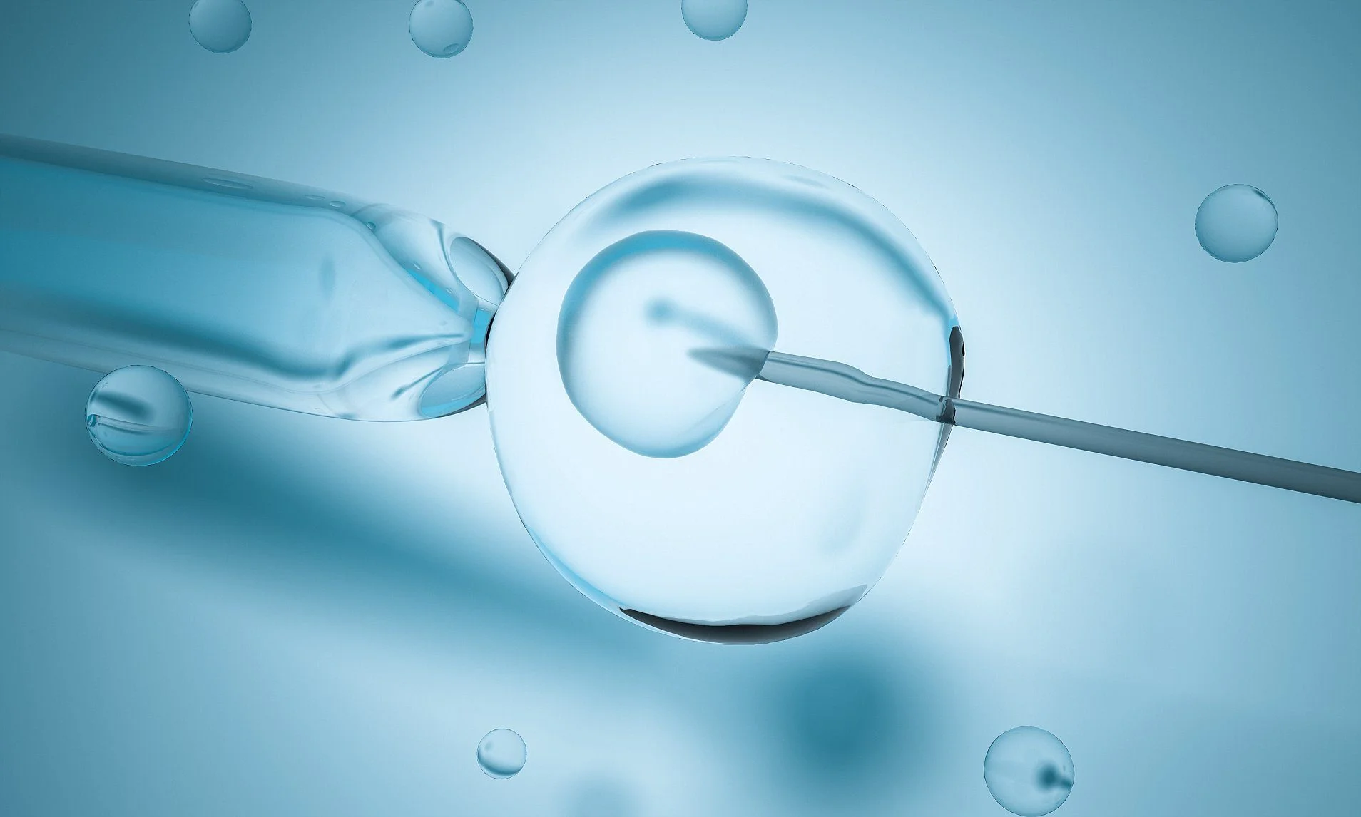 Kỹ thuật IVF đang có tỷ lệ thành công cao hơn so với IUI - Nguồn Internet