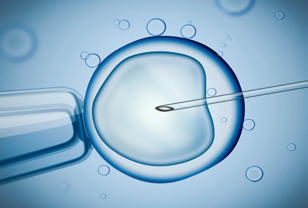 Thời gian làm IVF lần 2 có thể thay đổi tùy thuộc vào phác đồ điều trị ở lần đầu tiên - Nguồn ảnh: Internet