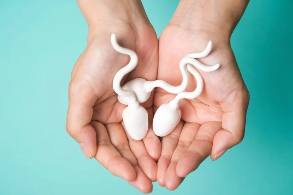 Tinh trùng yếu, quá ít hay dị dạng làm giảm khả năng thụ thai tự nhiên 