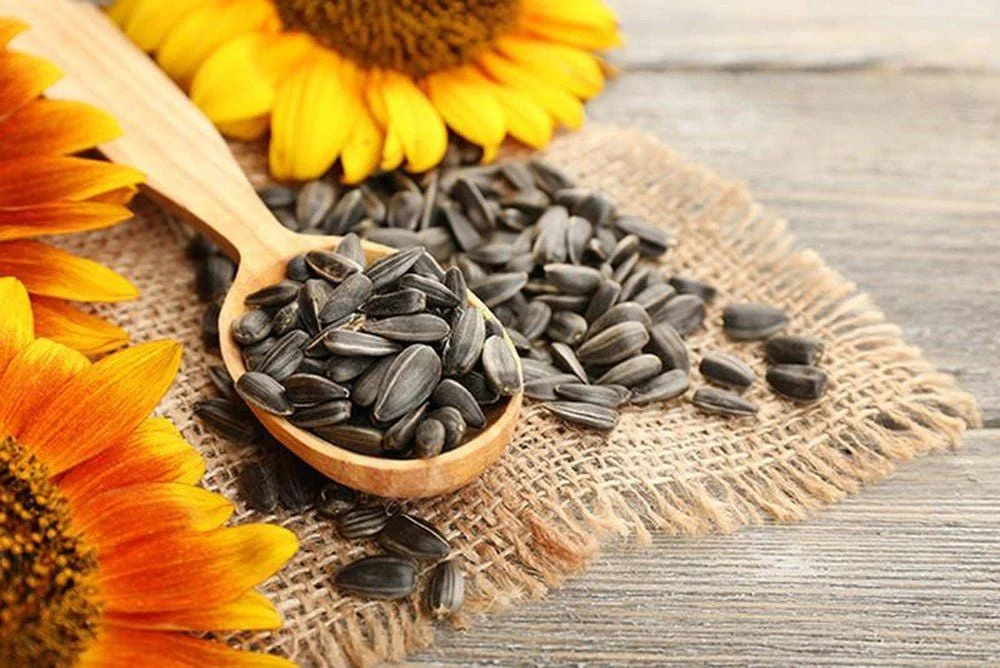 Hạt hướng dương chứa nhiều dinh dưỡng tốt cho sức khỏe