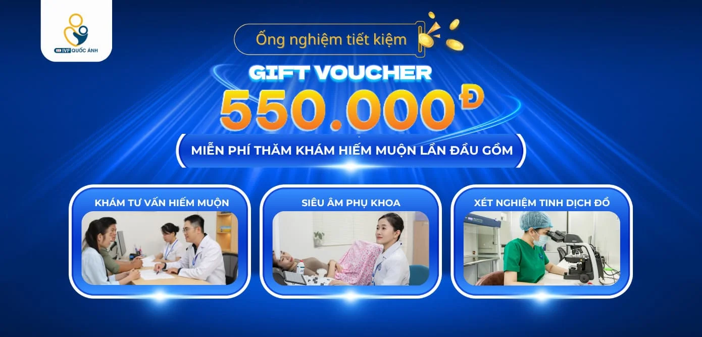 IVF Quốc Ánh