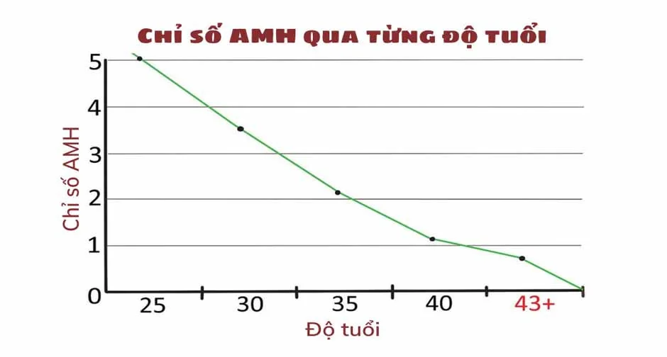 Việc theo dõi AMH theo từng độ tuổi giúp bác sĩ đánh giá chính xác khả năng sinh sản và lên kế hoạch hỗ trợ sinh sản phù hợp - Nguồn ảnh: Internet