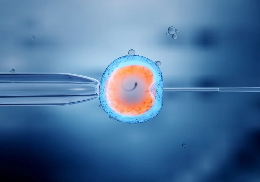 Vấn đề về chi phí, tài chính có thể là rào cản với nhiều cặp đôi khi làm IVF
