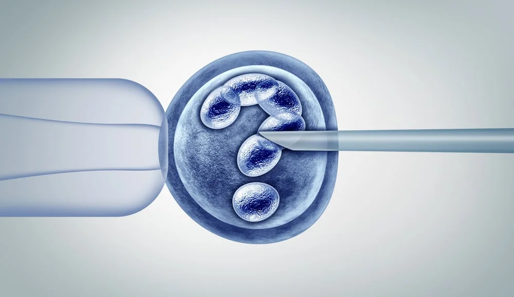 Y học hiện đại giúp các cặp vợ chồng hiếm muộn có con bằng IVF