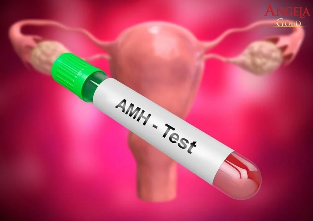 Xét nghiệm AMH là gì_Thumb